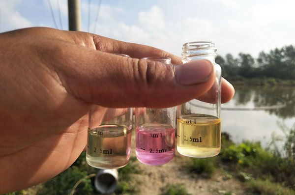 水产养殖水中的亚硝酸盐是怎么产生的?