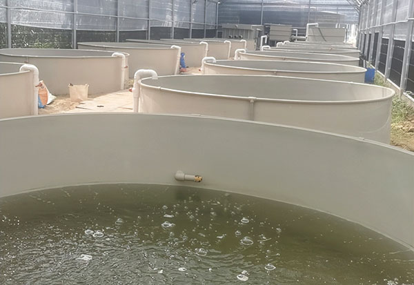 工厂化水产养殖相较于传统池塘养殖的产量优势