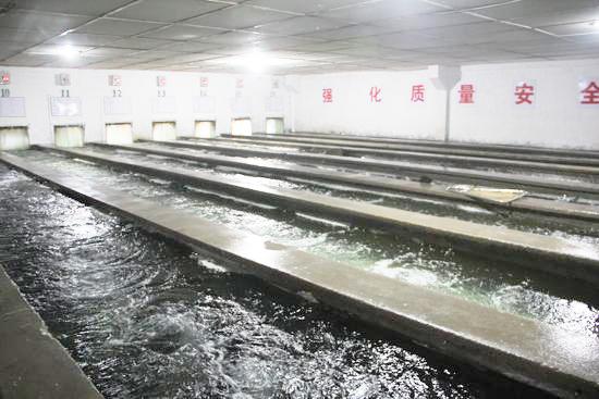 水产养殖中如何维护紫外线消毒器提高净水效率？